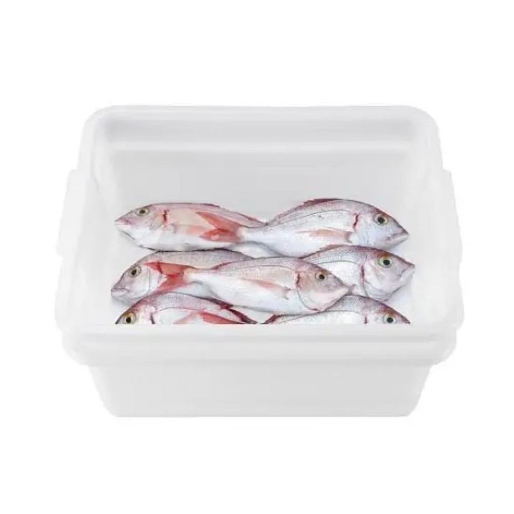Konteineru komplekts  ēdienu atkausēšanai 35 l (AR01260)