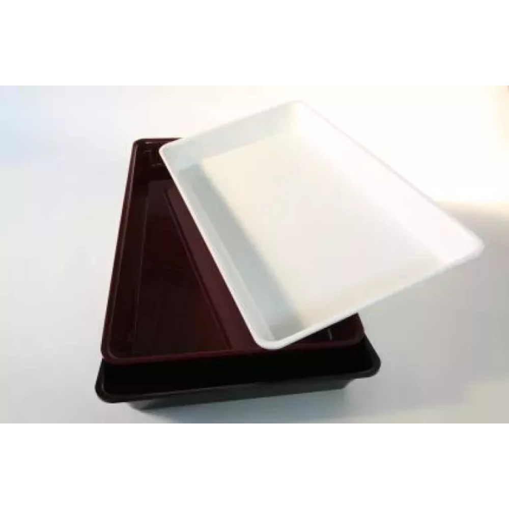 Polimetilmetakrilāta GN 1/1 50 Plexi trauks Balts (A00009556)