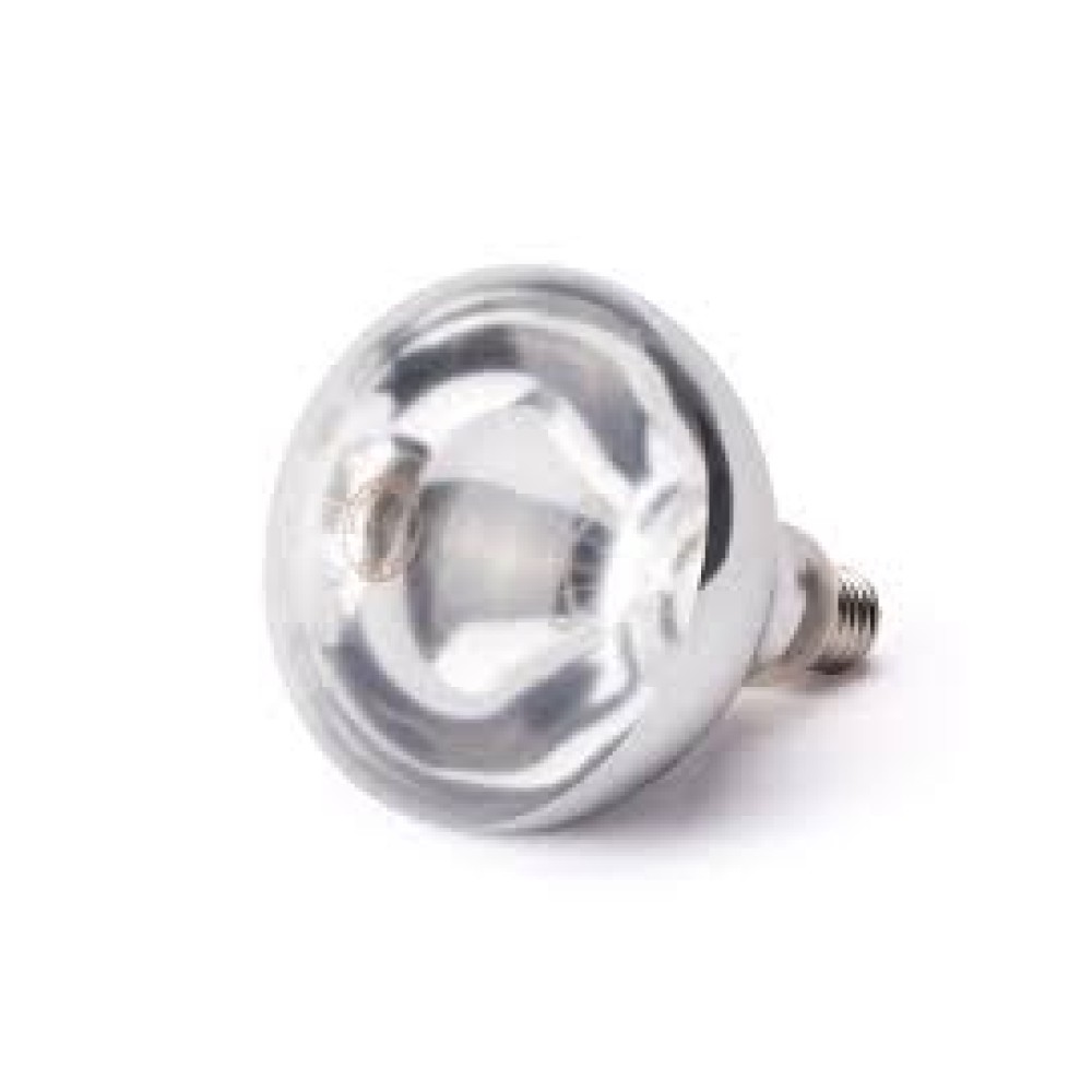 Spuldze 230V/250W (919200)