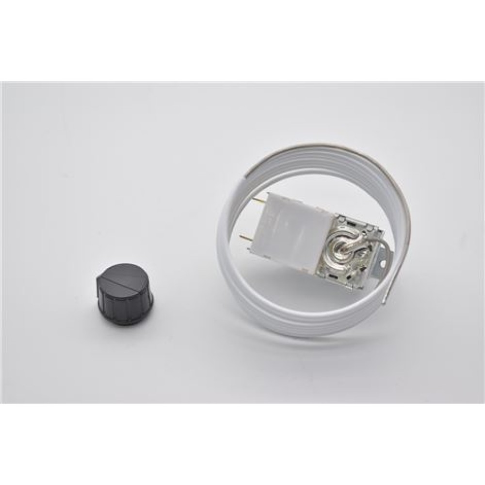 BIN THERMOSTAT (5177588)