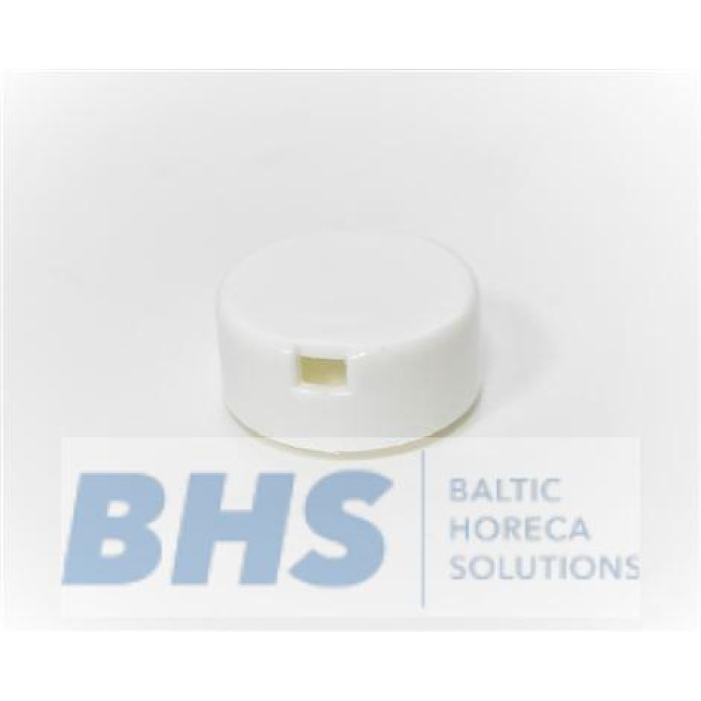 OVERFLOW PIPE CAP (5091193)