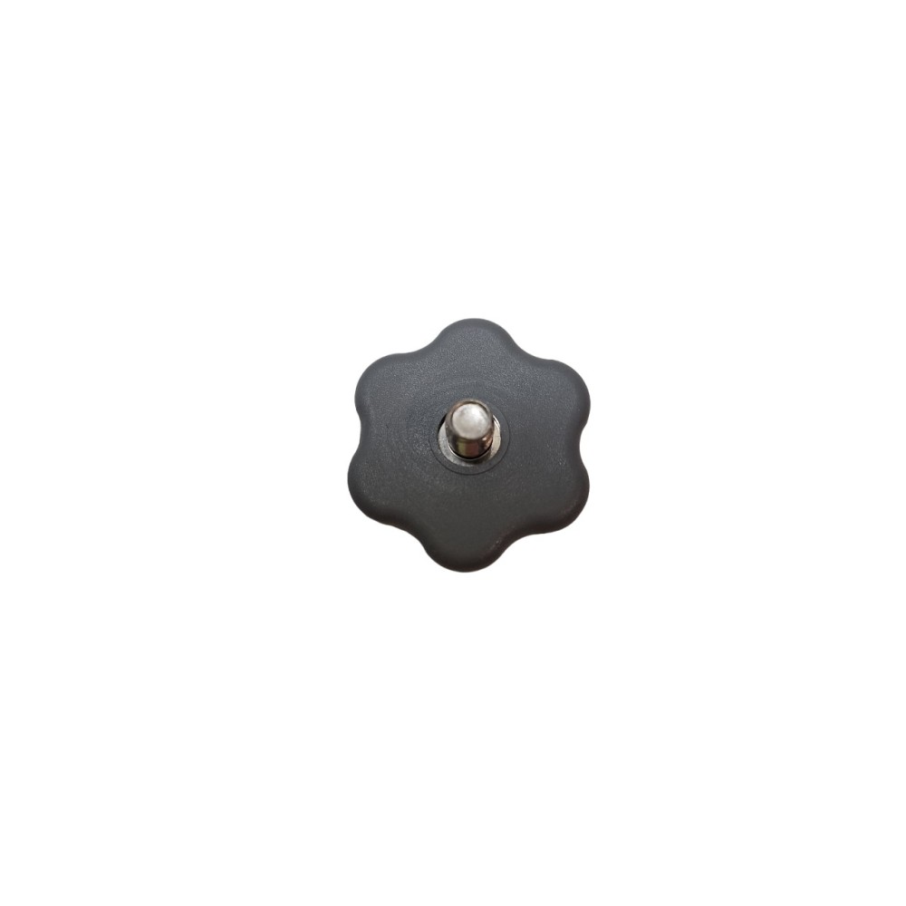 MOUNTING SCREW FOR ARMS SILANOS DISHWASHER (C008924)