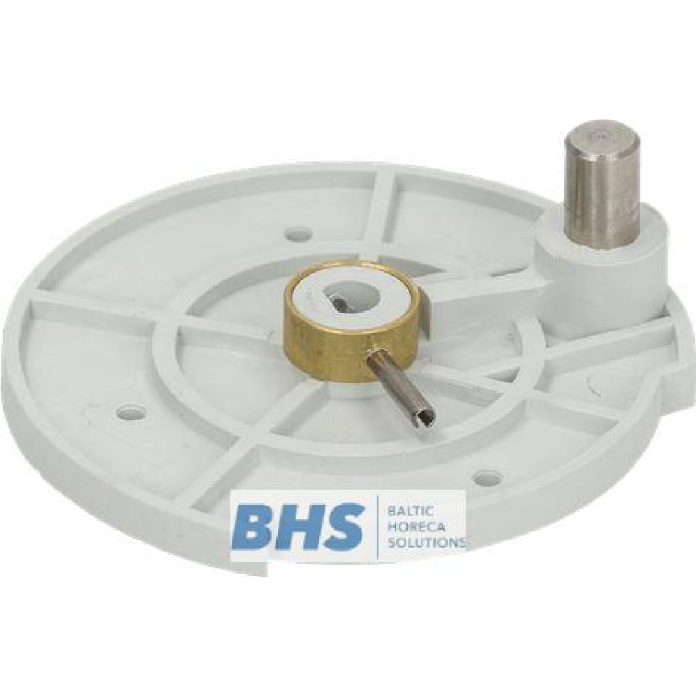 DISC FOR PIVOTING MOTOR (L3240675)