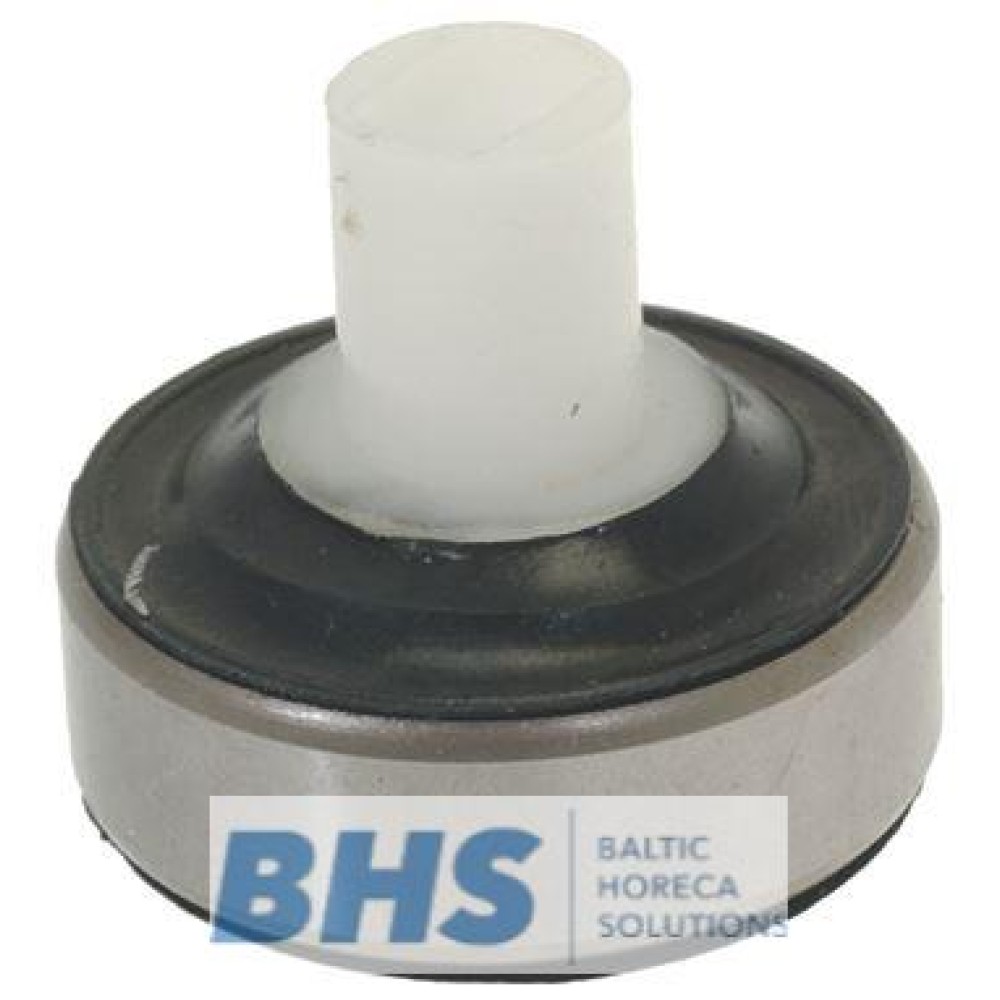 BEARING WITH WATER SEAL (L5020468)