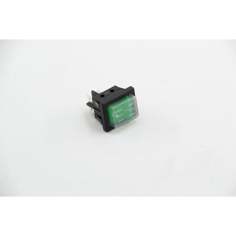 MAIN SWITCH (13754)