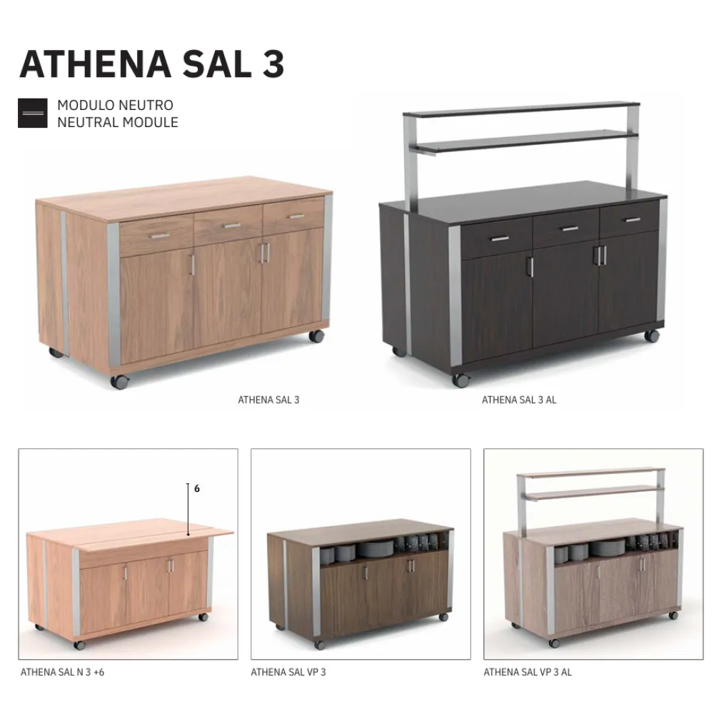 NEITRĀLS MODULIS AR DURVĪM UN NODALĪJUMU TRAUKIEM ATHENA SAL 3 VP (010VPATHSAL3)