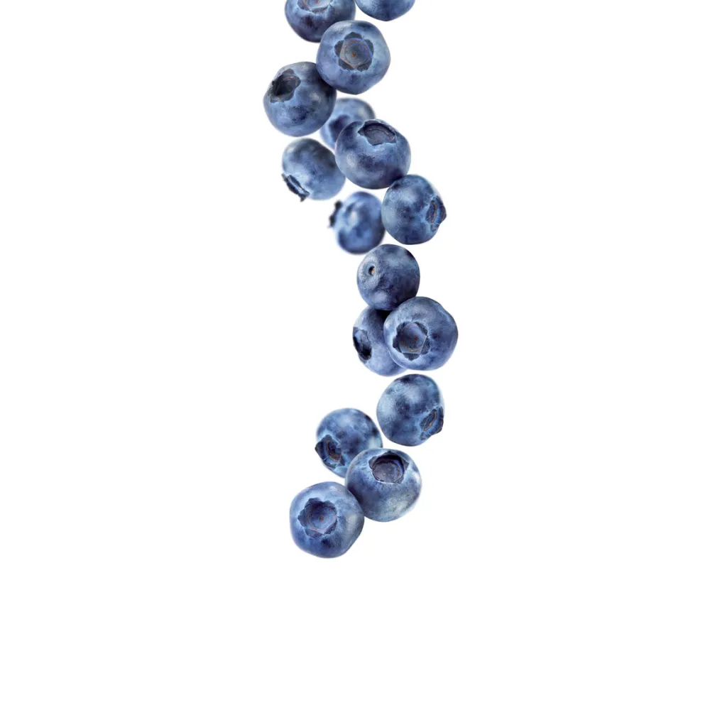 Melleņu sīrups 1L (275202160018)