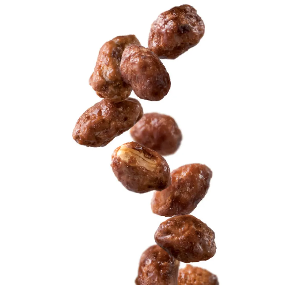 Karamelizētu zemesriekstu sīrups 1L (275202160056)