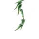 Agava BIO sīrups 1L (275202160037)