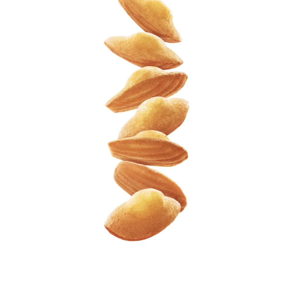 Madeleine sīrups 1L (275202160060)