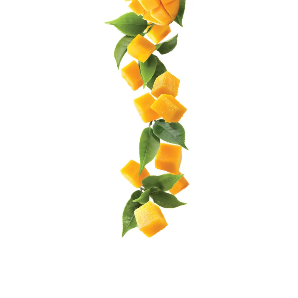 Sīrups auksta tēja ar mango 1L (275202160025)