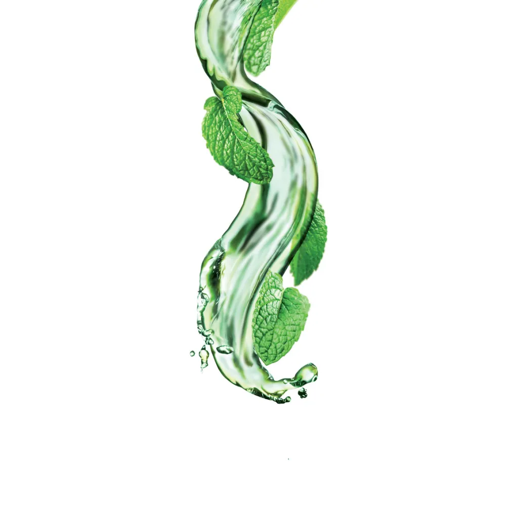 Mojito piparmētru sīrups 1L (275202160075)