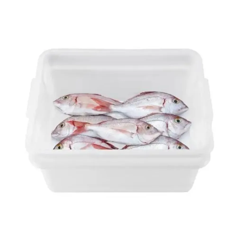 Konteineru komplekts  ēdienu atkausēšanai 17.5 l (AR01828)
