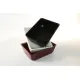 Polimetilmetakrilāta GN 1/5 80 Plexi trauks Balts (A00006228)