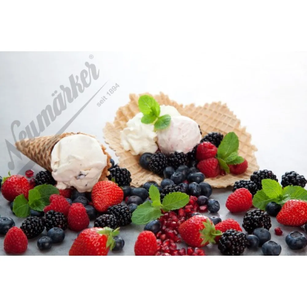 ICE WAFFLE cepšanas plāksne (L32-40710)