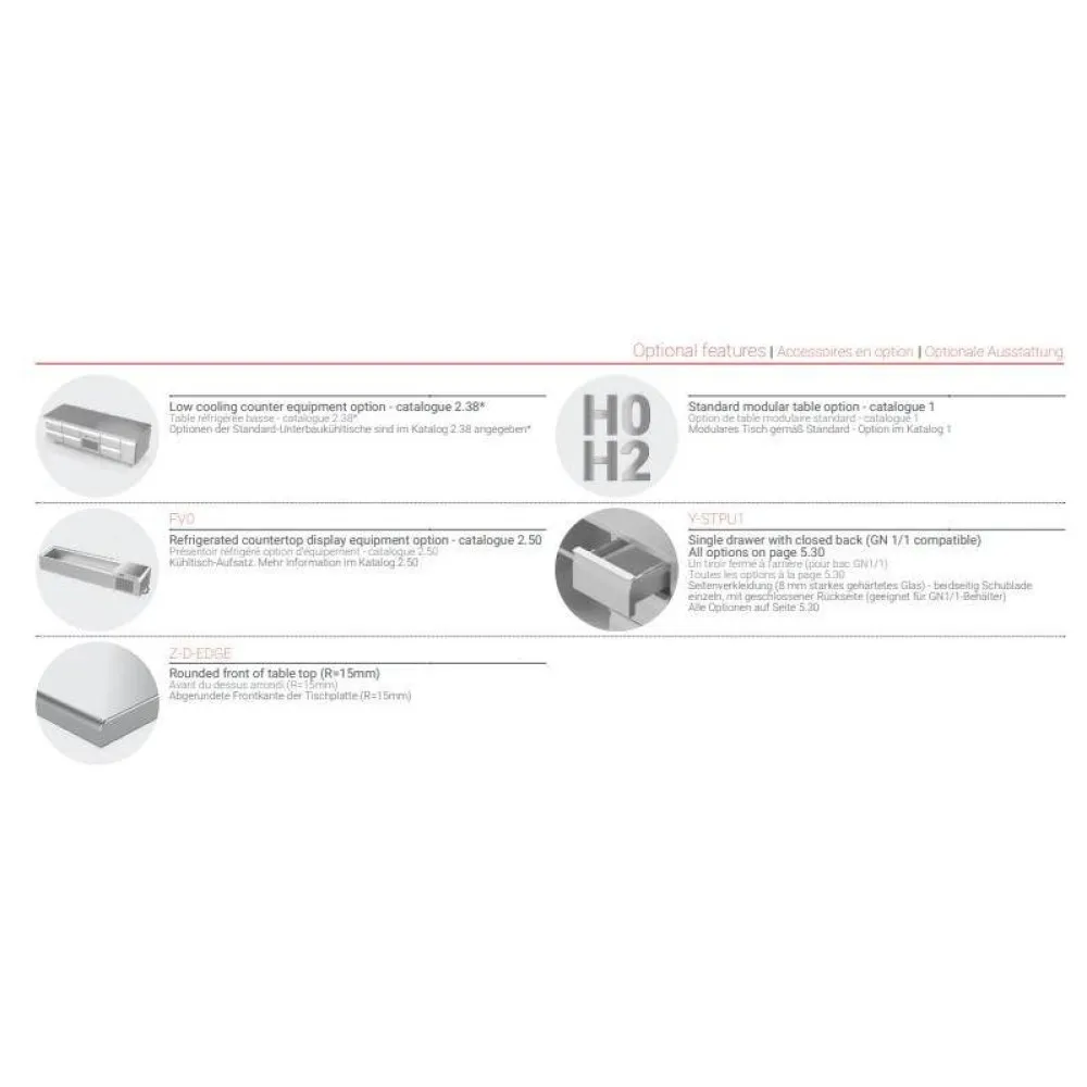 Picas gatavošanas galds 1010 mm (BHS-Z-PIZZA-101/85/120)