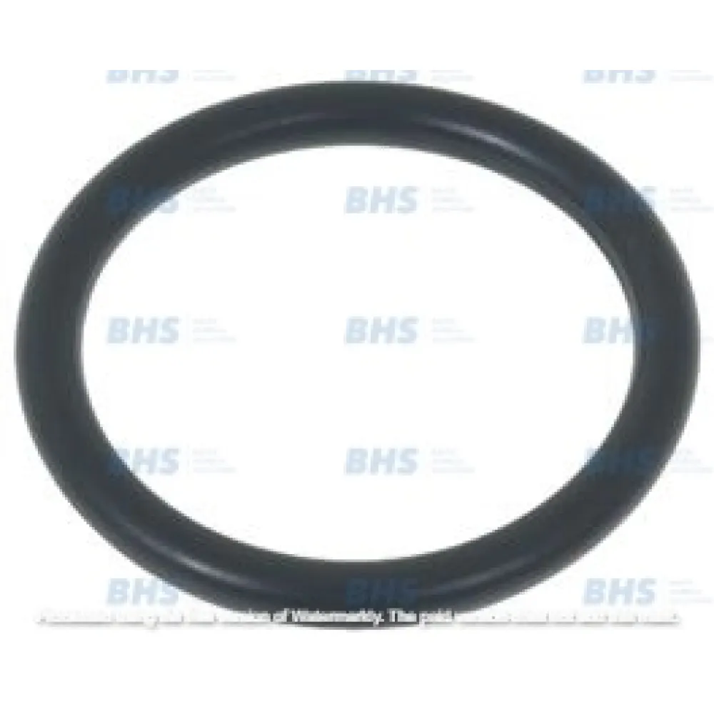 O-RING 04112 EPDM (L1186480)