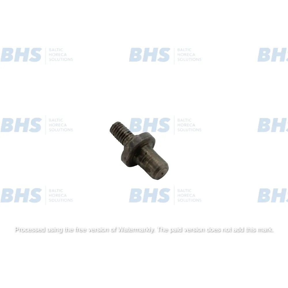 PIN FOR HINGE (12911)