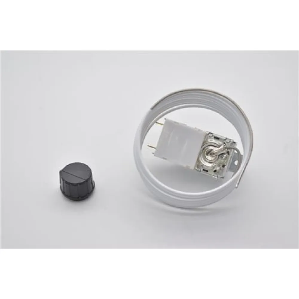 BIN THERMOSTAT (5177588)