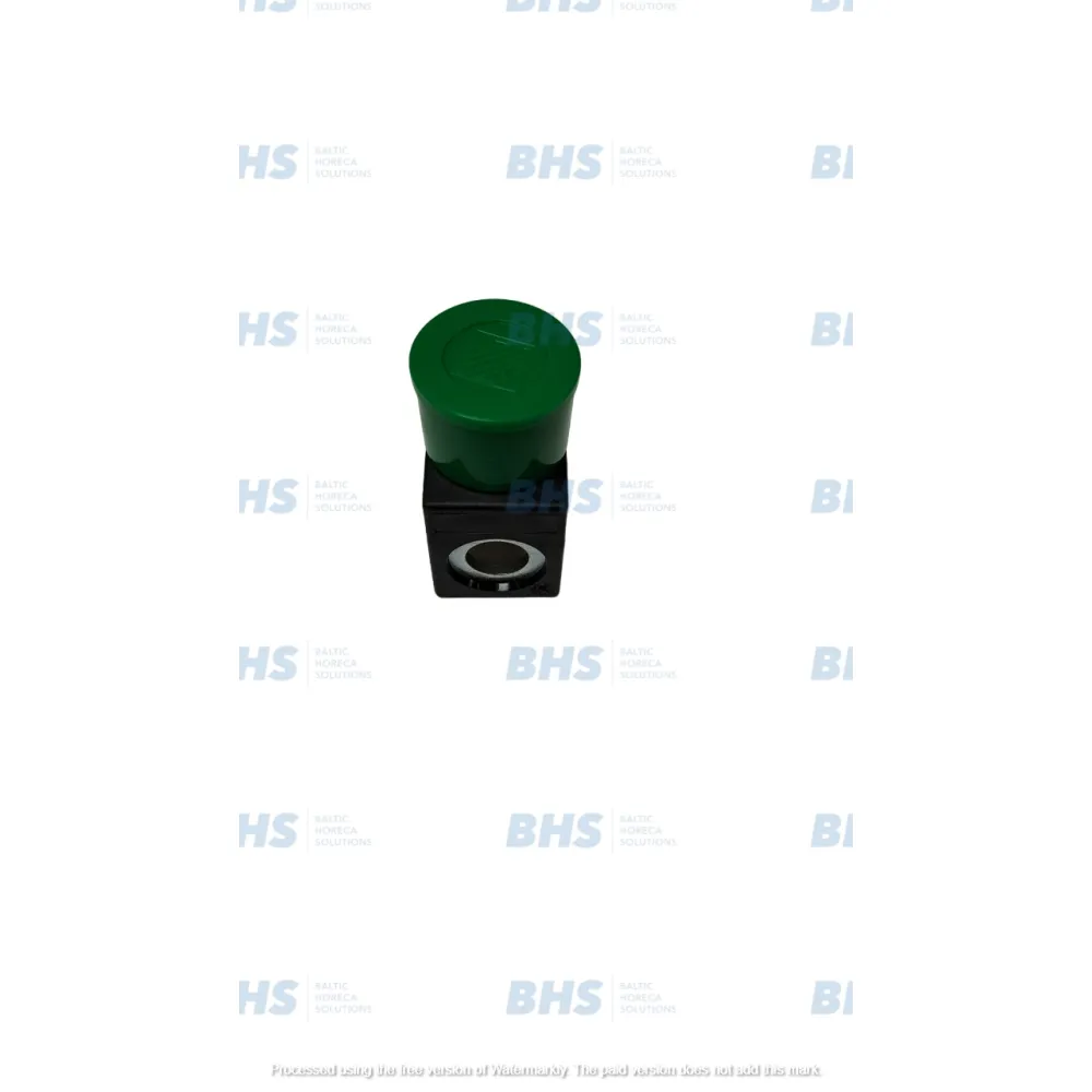 Solenoid 10.2/22x29.5 24V DC (3341503000)