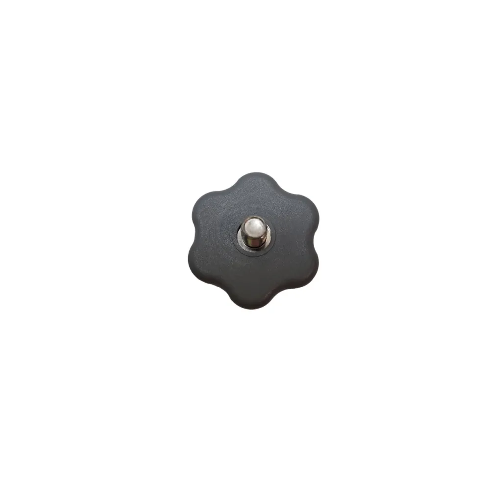 MOUNTING SCREW FOR ARMS SILANOS DISHWASHER (C008924)