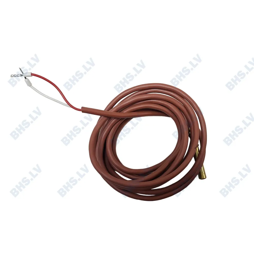 Sonda PT100 L=2m (C009300)