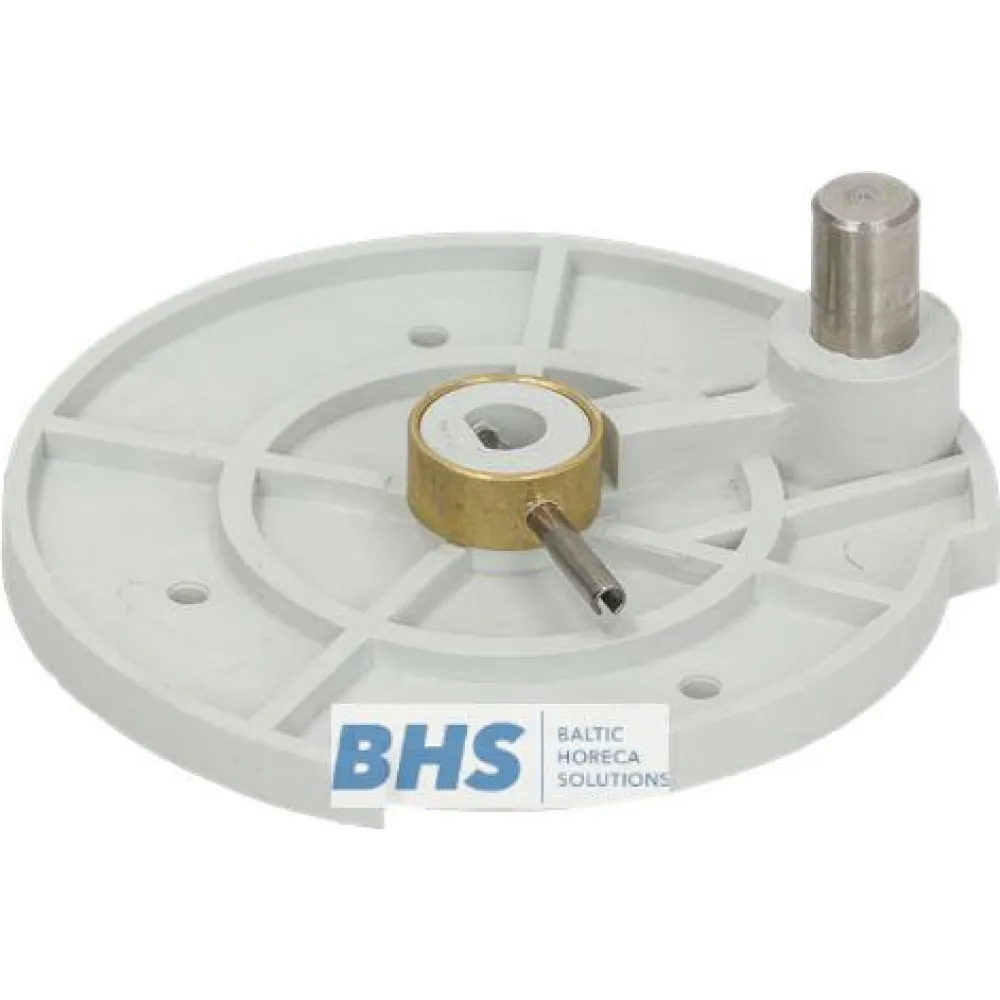 DISC FOR PIVOTING MOTOR (L3240675)