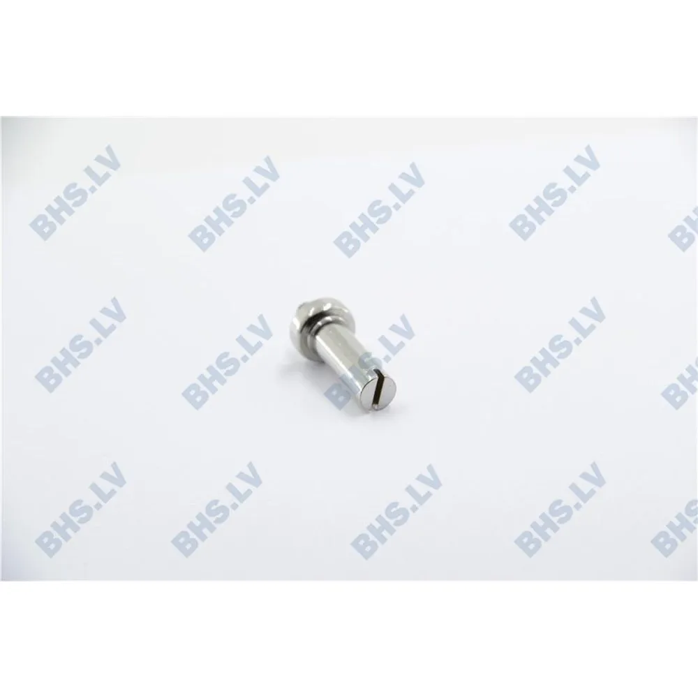 HINGE AXIS (12857)