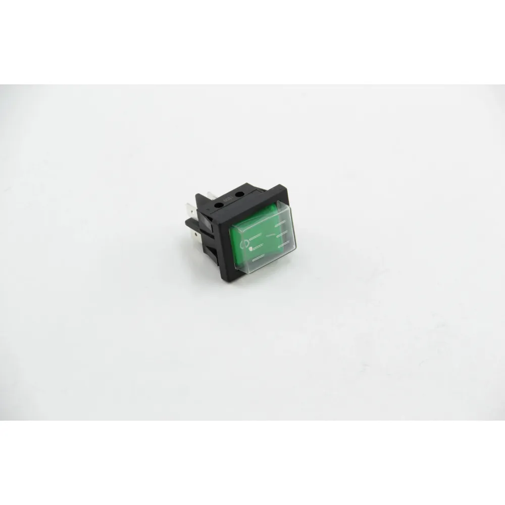 MAIN SWITCH (13754)