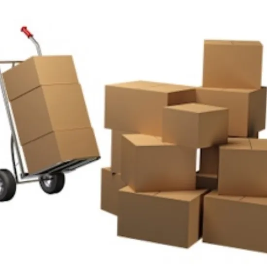 Packing boxes, bags, disposable tableware