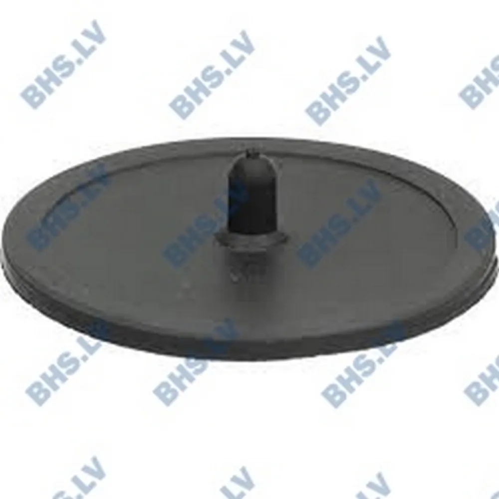 MEMBRANE BLIND FILTER ø50 mm (L1160293)
