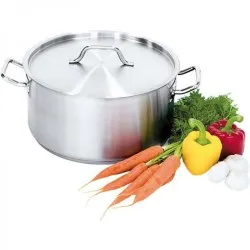 Puodas su dangčiu 31.4 l