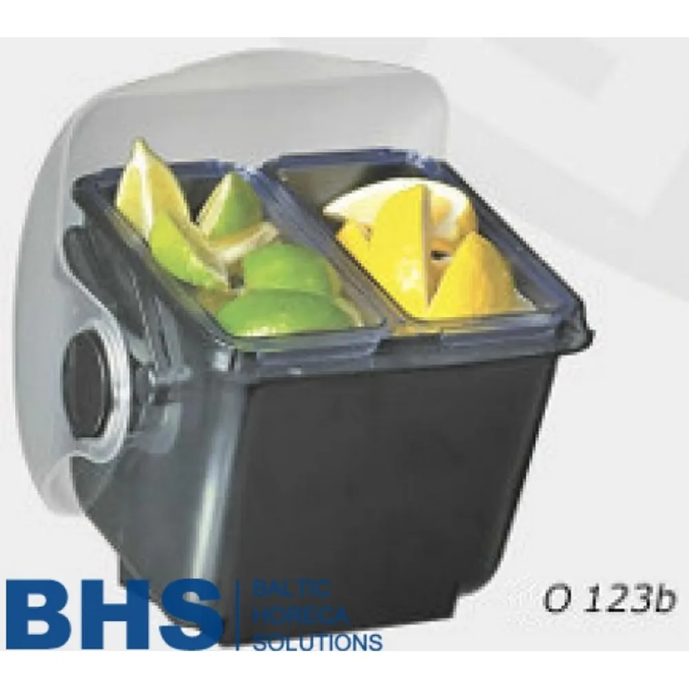 Mini organizators O123Y ar vietu ledum (BHS431023)