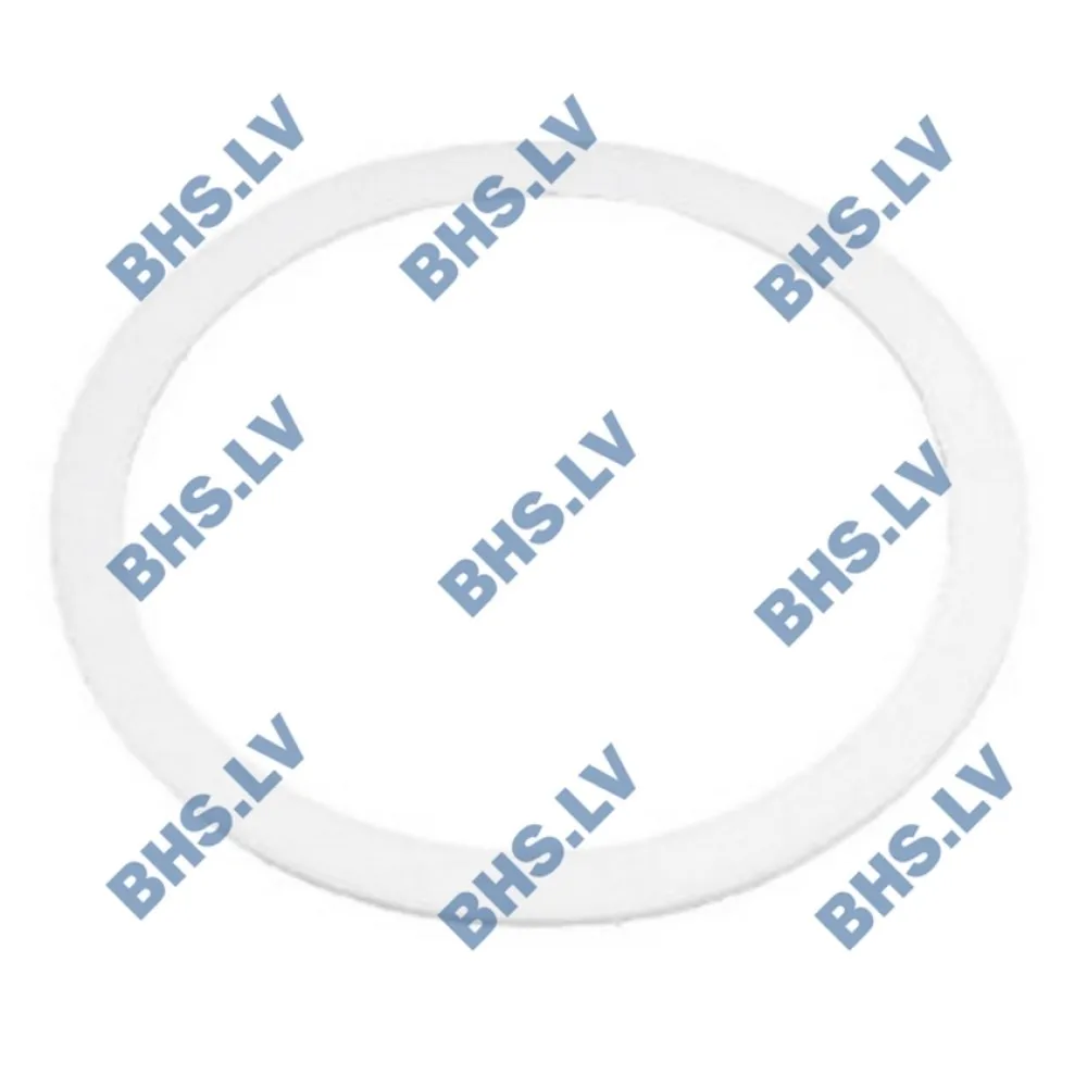 PTFE FLAT GASKET ø24x19x2 mm (L1186731)
