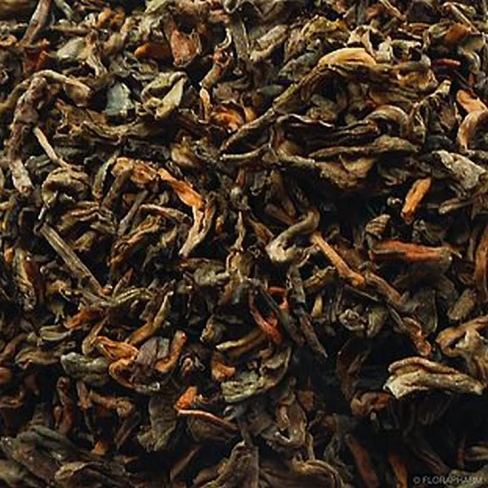 Pu Erh China tēja 100gr (693675/100)