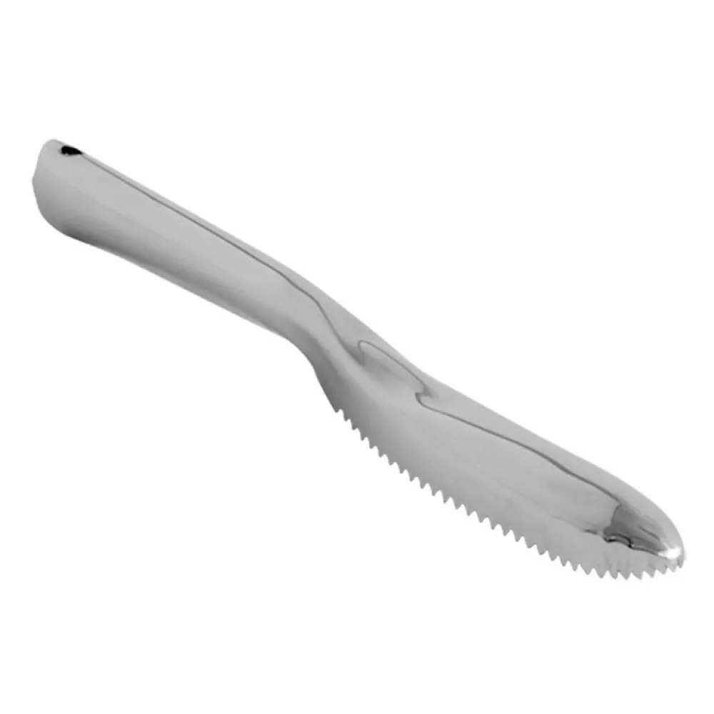 Skrāpis zivs zvīņām 23.5 cm (303211)