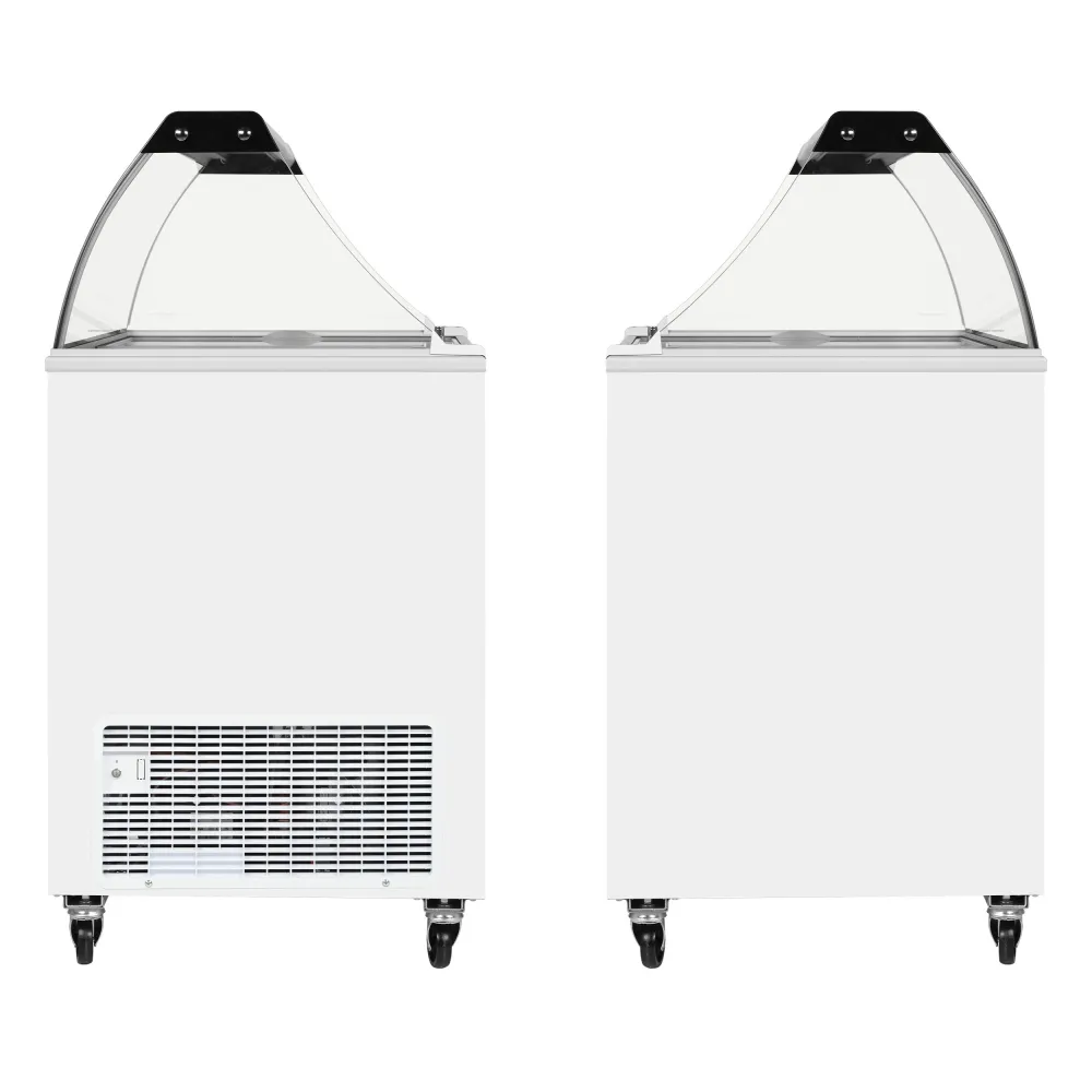 Saldējuma saldētava 155 l (IC202SC-SO)