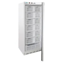 Морозильная камера Eco Line G-EF600SSCAS