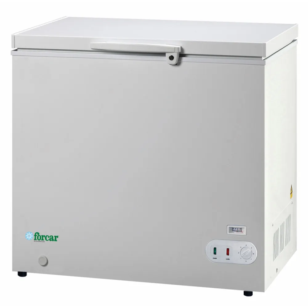 Dziļā saldētava Eco Line G-BD305S