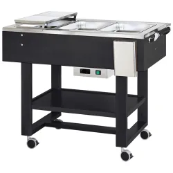 Soojendusega käru 3XGN1/1 CL2770N