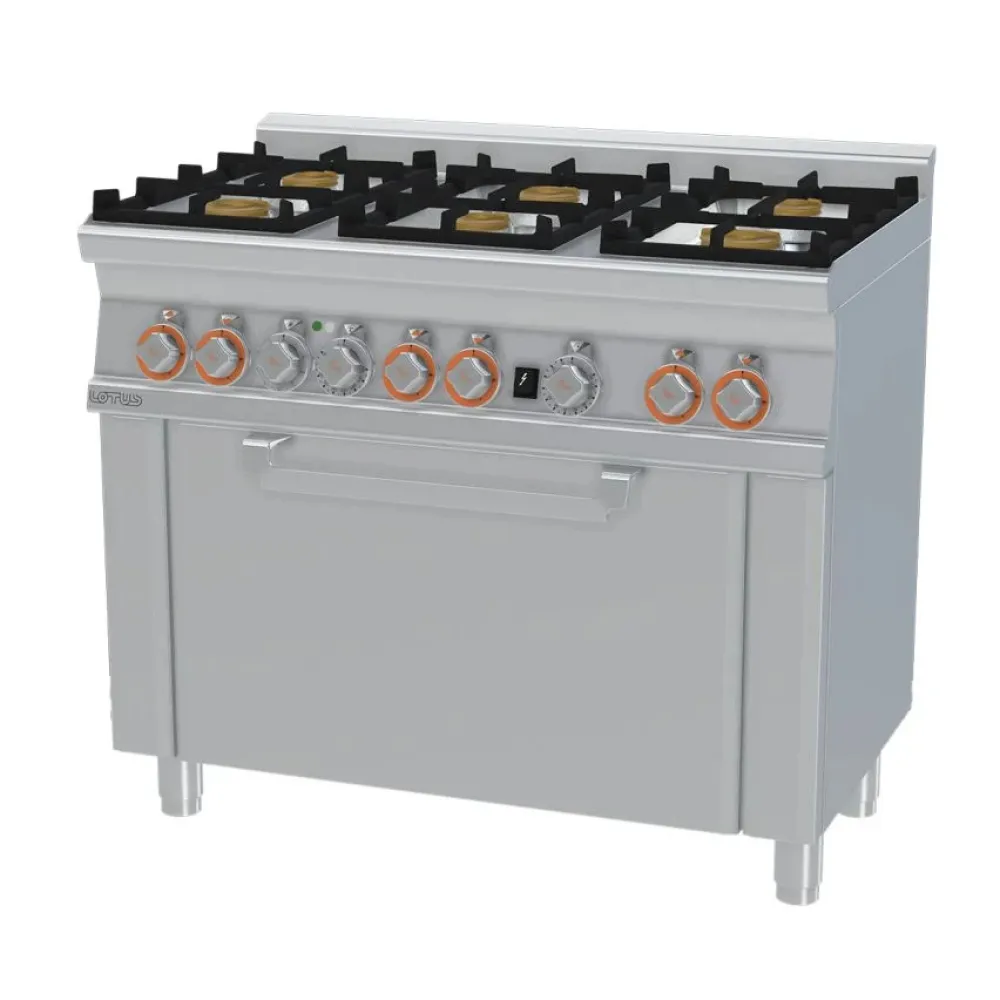 Gāzes plīts ar elektrisko cepeškrāsni CFM6-610GEM (06691063)