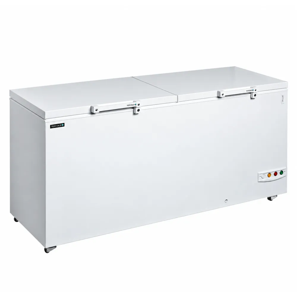 Saldētava-lāde ar divdaļīgu vāku, 565 L (FR606 SL)