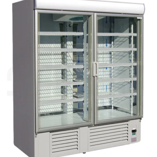 Commercial Refrigerators for Shops