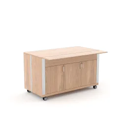 NEITRĀLS MODULIS AR DURVĪM ATHENA SAL N3