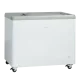 Saldējuma vitrīna 223L IC310D (23424310000IC310D)